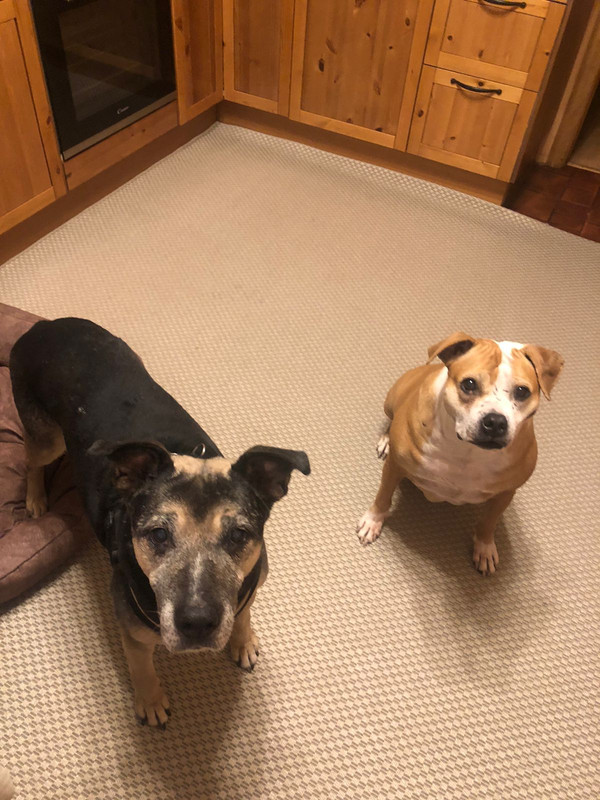 58AB1953-1729-47DE-9A3D-90BCE35B998A