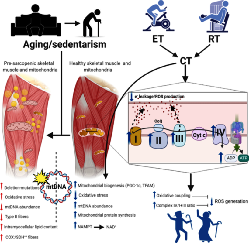 Новый рисунок (1)