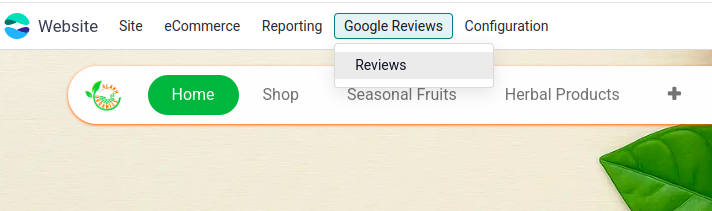 Review's Menu in website
