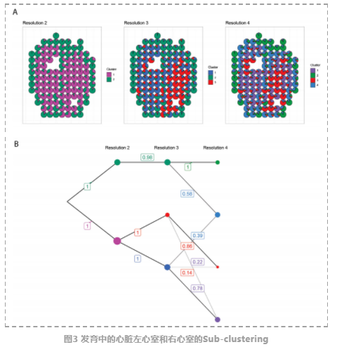 空间转录组聚类评估工具-4.png