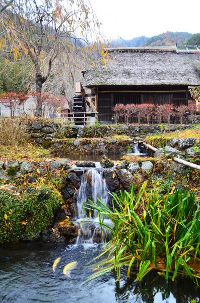 Saiko Iyashi no Sato Nenba-16-11-2024 - Japón y sus Pueblos-2024 (4)