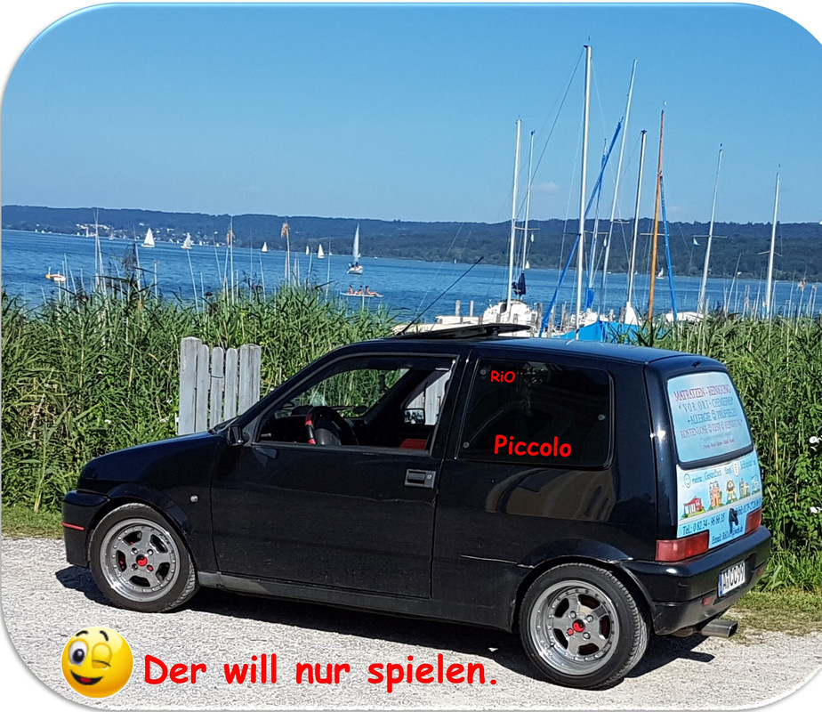 der-will.jpg
