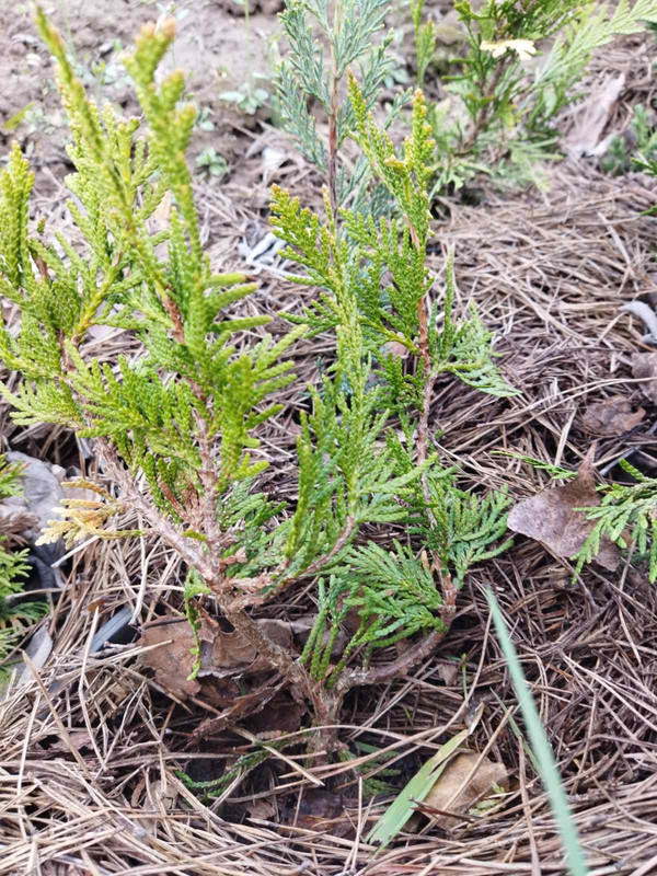 изображение_viber_2024-04-24_15-20-496