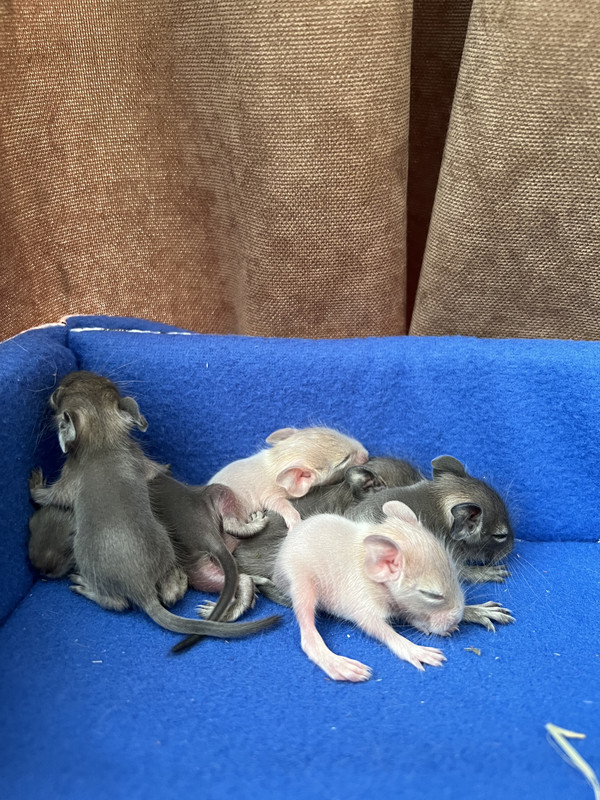 434B62AA-2F2A-42B7-A076-24D35DC11667