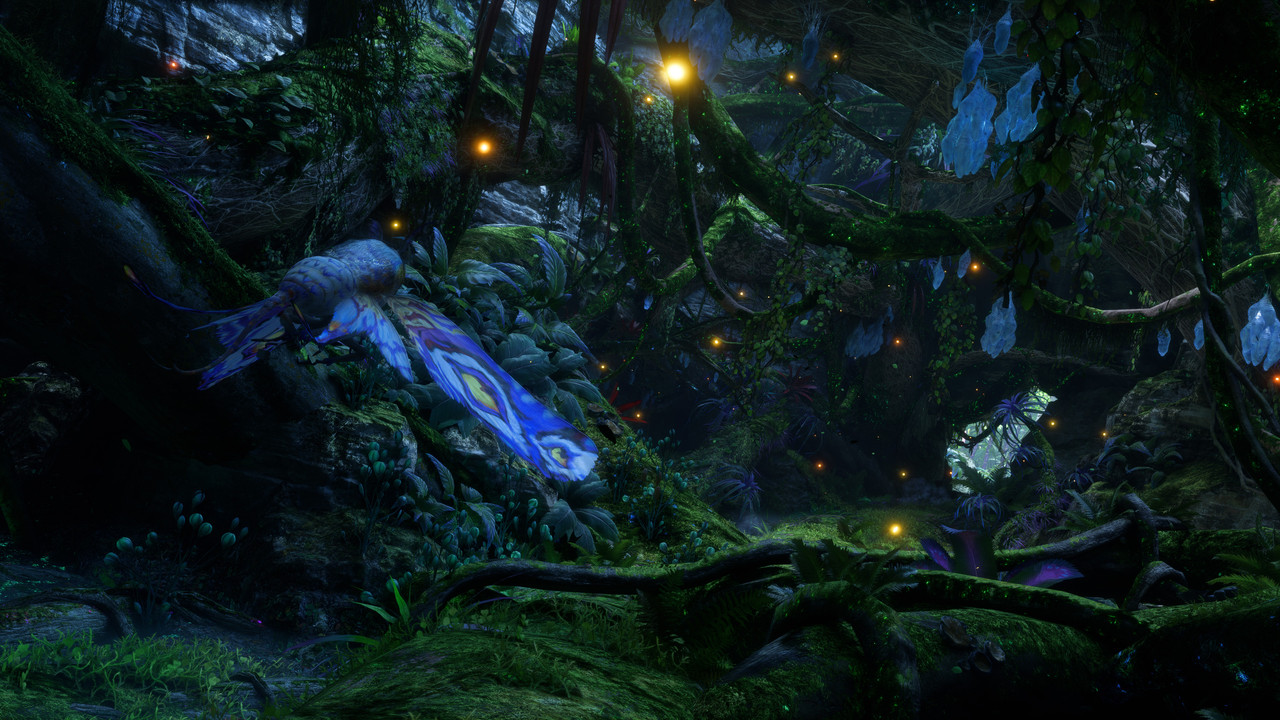 afop 2026 01 09 03 53 27 703