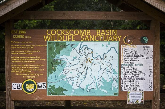 Cockscomb Basin