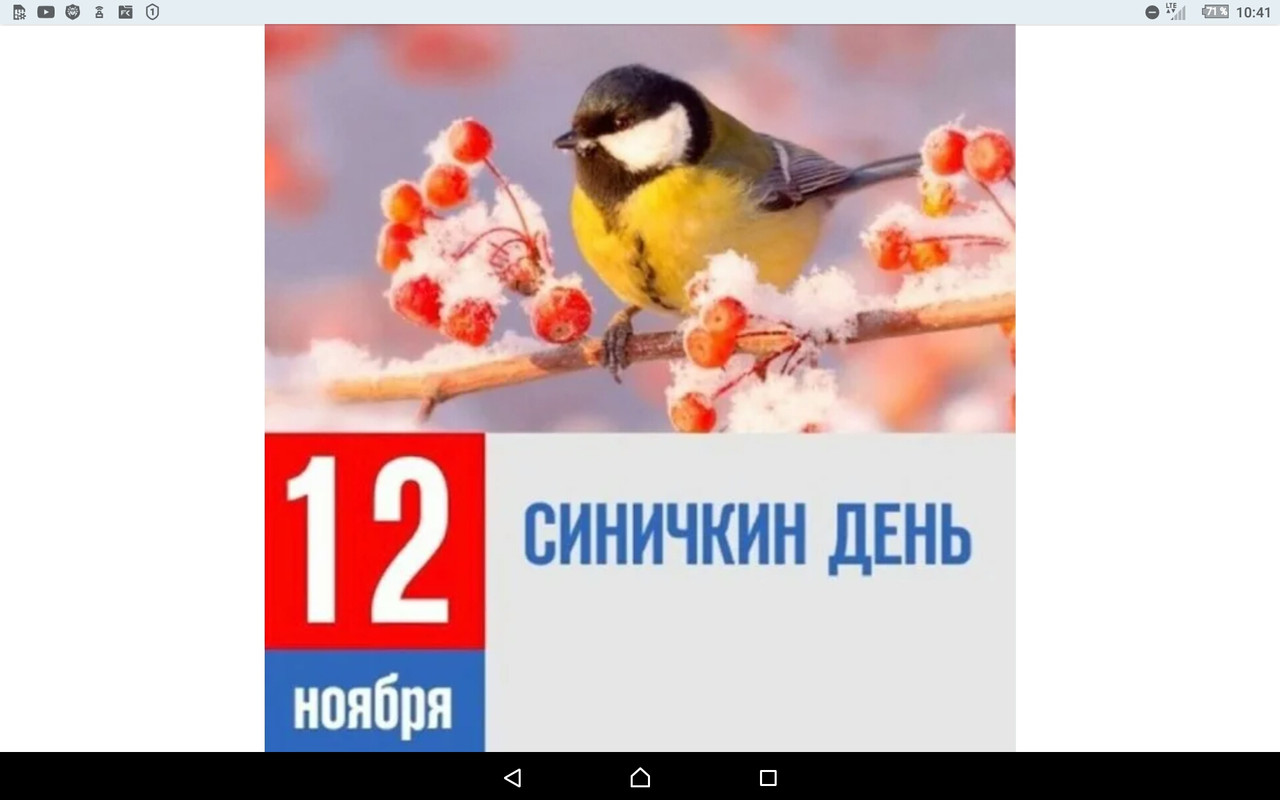 Screenshot_2023-11-12-10-41-02