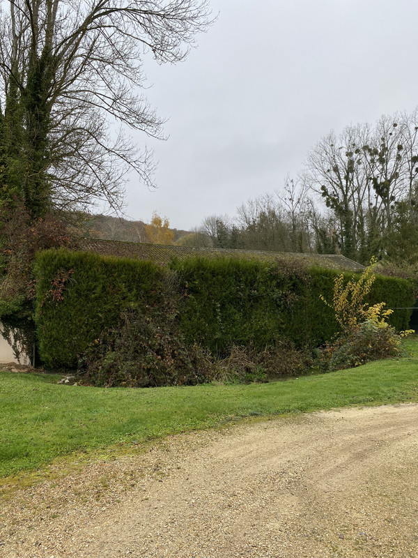 46AB8854-4CF6-44DD-A083-75A9F468510F