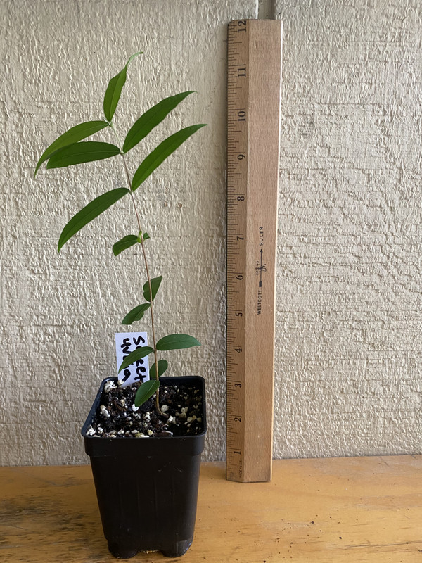 CE5F0BB9-69B8-42B4-A98B-636D2CDDFDC1