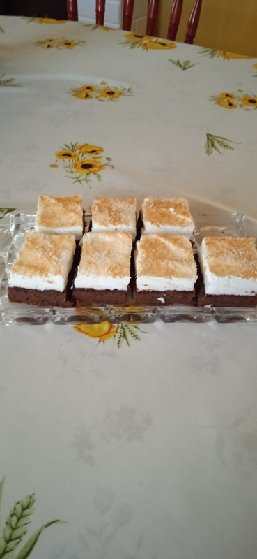 IMG_20240421_165530[1]