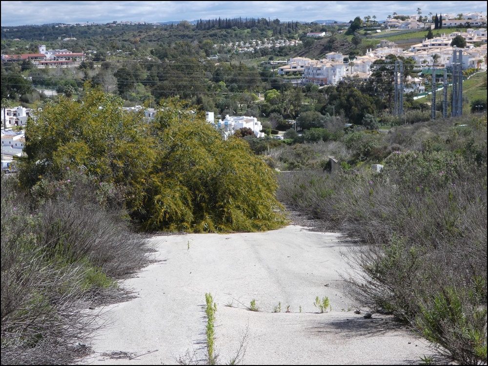Albufeira-Quinta-da-Bolota-020420 (2)