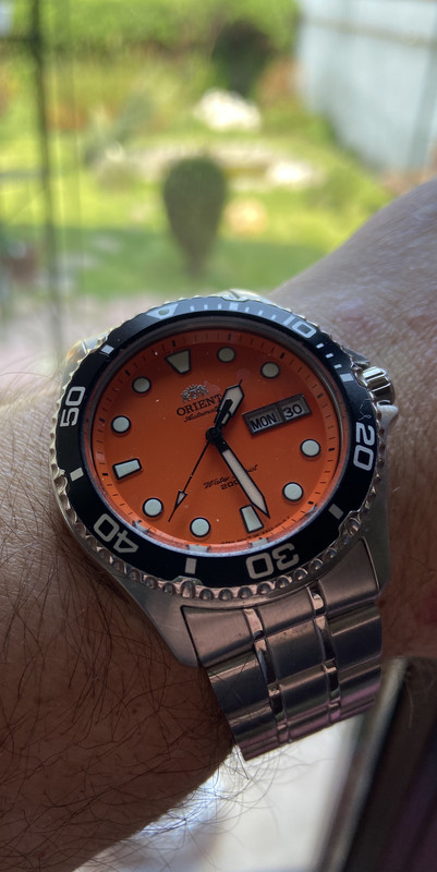 3FE20A49-F9FE-47DB-BB89-D4E1D14376E7