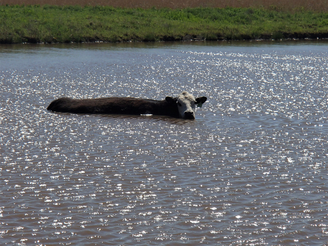 P5080008