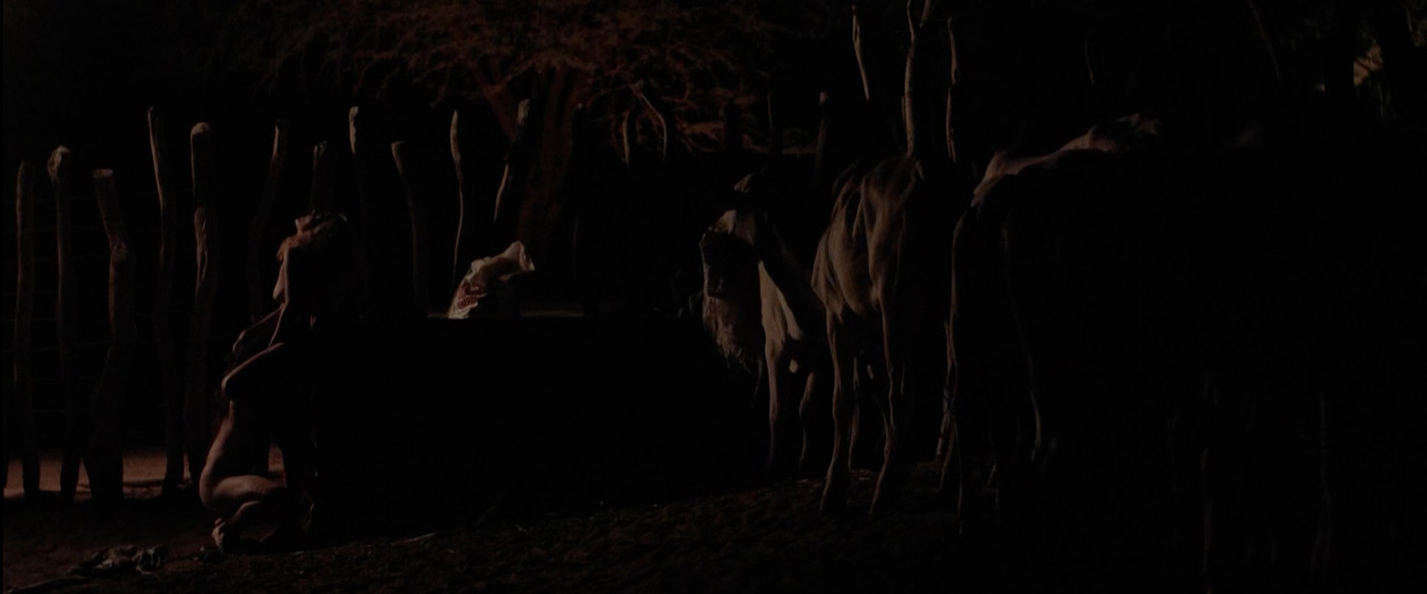 The.Neon.Bull.00_07_34_12.Still047