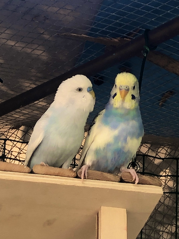 8F8FA272-6519-454F-AE65-955494E97CAF