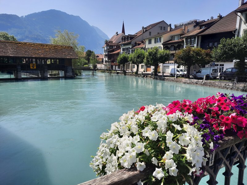 Suiza: nueve días en transporte público. - Blogs de Suiza - Dia 23. Interlaken: Harder Kulhn (2)