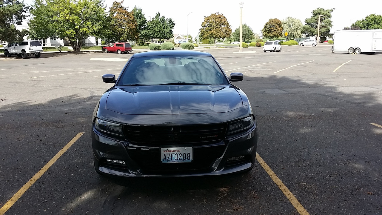 20160827-153205.jpg