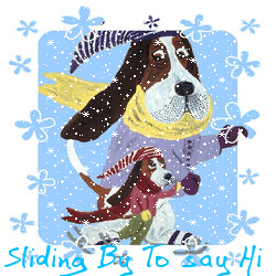 Winter-Dog-Snow-Sliding-By