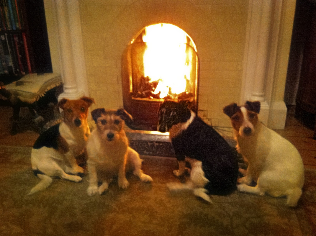 2DD87A88-0E7D-49F1-AFD7-5623966C1A3F