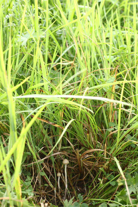 20190830_5