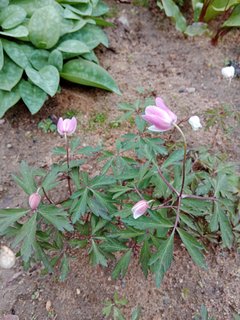 IMG_20240415_092805