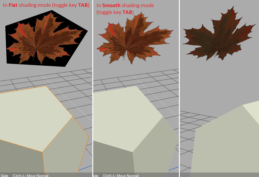 [Image: building-leaves-2.png]