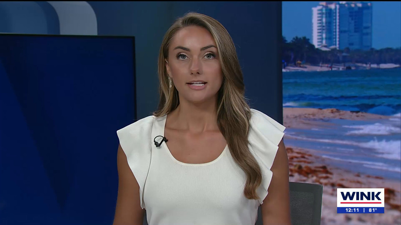 04.17 - 17.00.01 - The WINK Noon News  ᴺᵉʷ. Midday news update..ts_snapshot_17.01.469