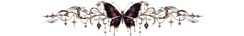 Untitled-design-(38).png