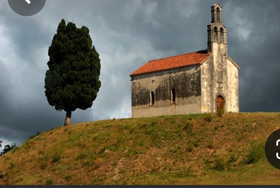 Screenshot_20231119_101945_Pinterest