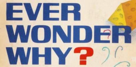 Ever-Wonder.png