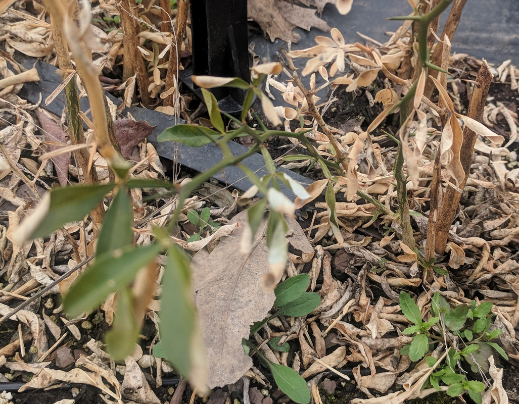 Apr 8 2019 F