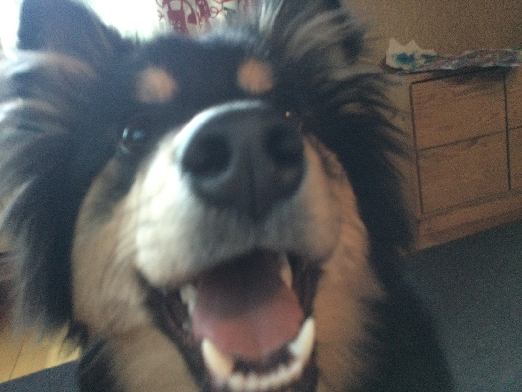 22A62869-C55E-4650-905C-9FAB30368F61