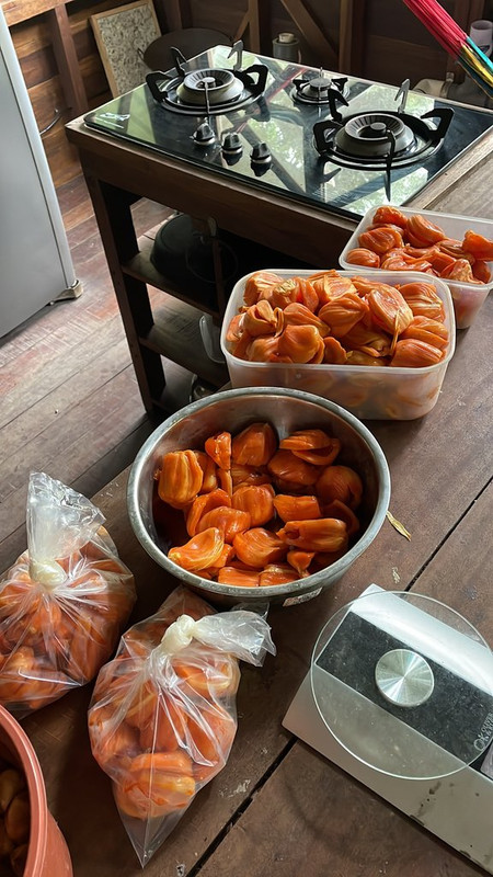 470B4406-788E-43DC-B7BB-B3E3135FA774