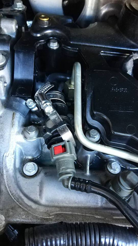 48407305_369288363619043_175979254092136448_n