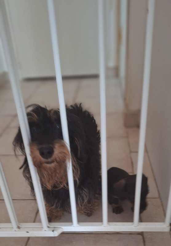 [Image: 20250528-181229.jpg]