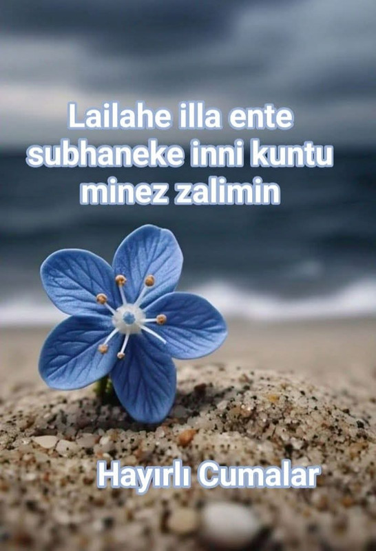 IMG 20260911 WA0021