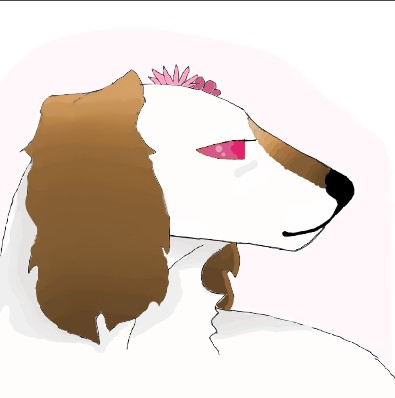 Freckle-as-a-Dog.jpg