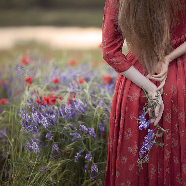 ���� ���� ������ �� ���� ������