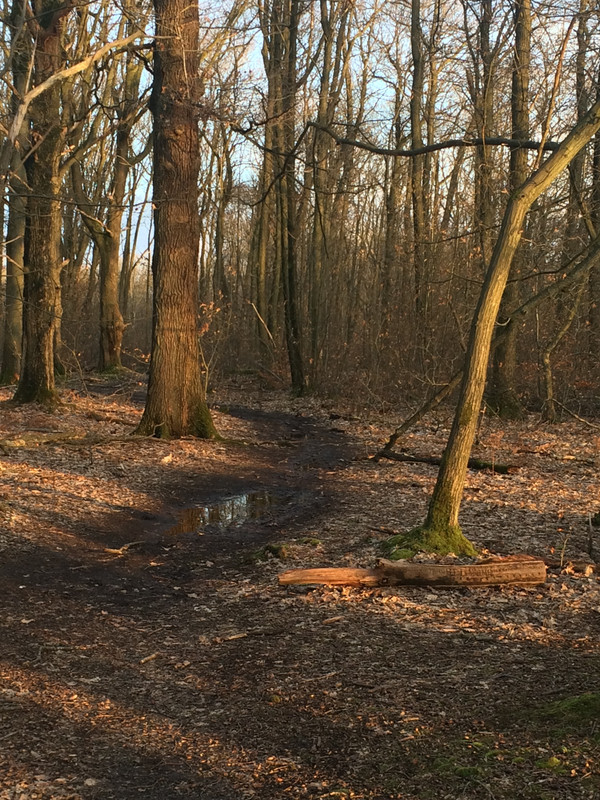 75984AB1-7988-4A45-BCEF-BFD97C6C63F6