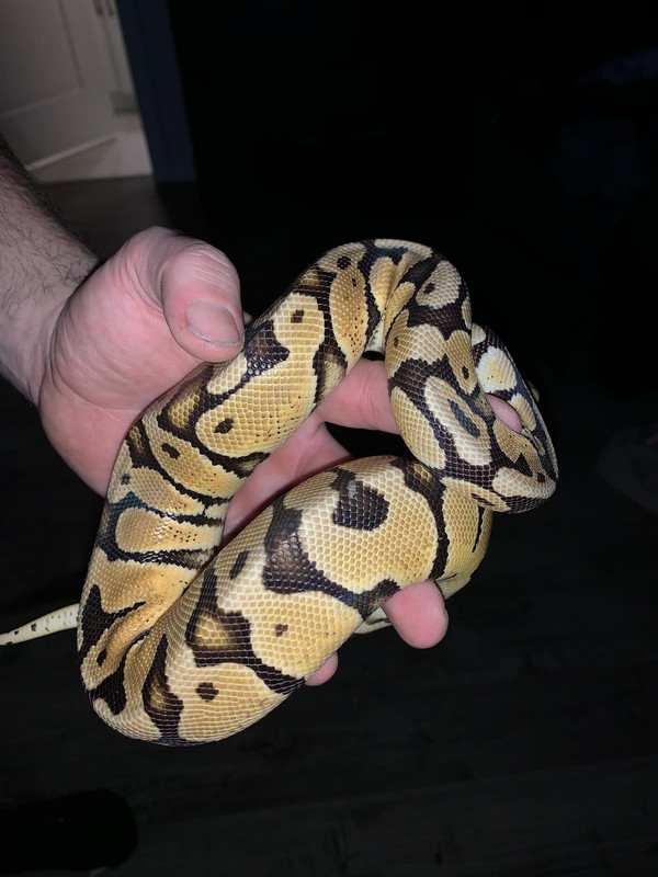 12A8FBBB-FB87-4F62-ACF4-46782DC9D3F5