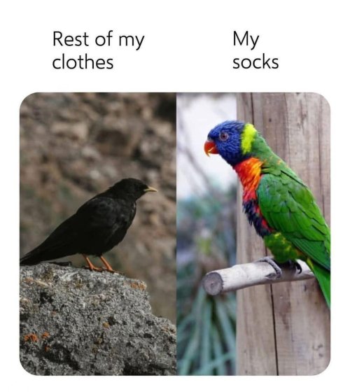 36th.jpg