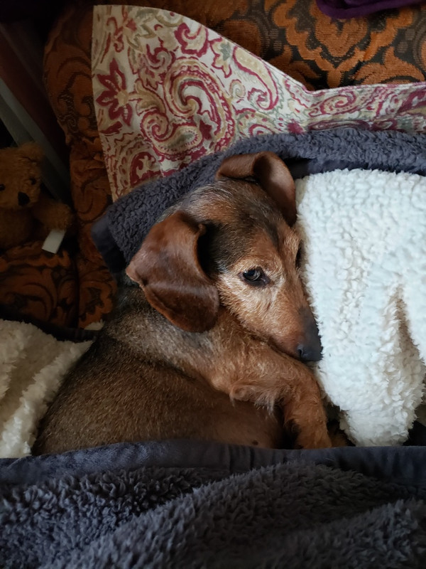 [Image: Resized-20230104-090356.jpg]