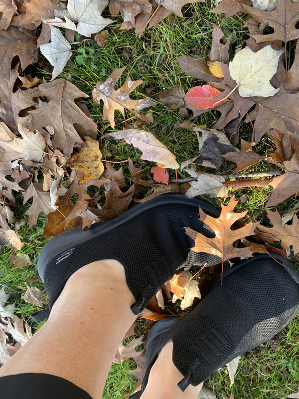 C6A6C1BD-D623-457F-B57C-24DC651E446F