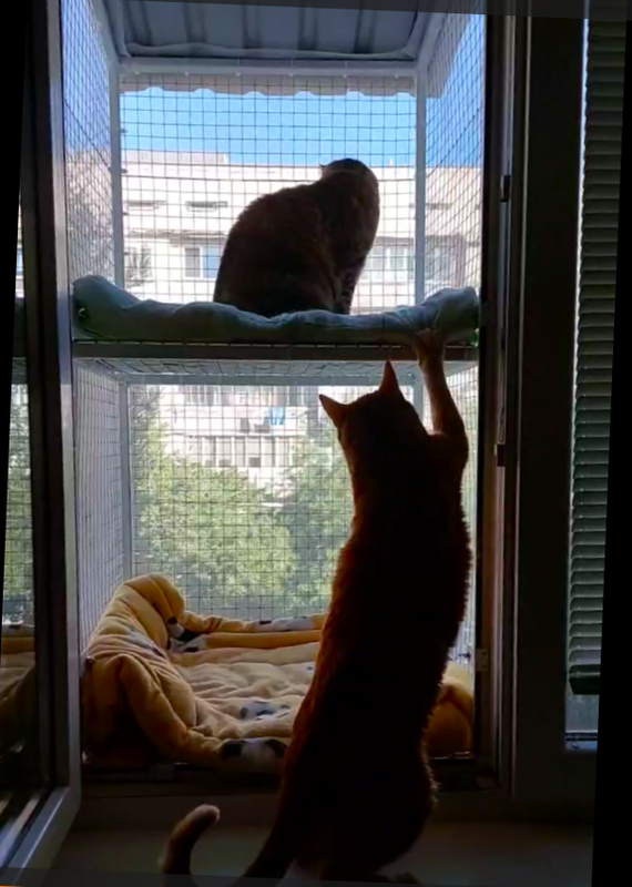 Снимок экрана 2025-06-23 171936