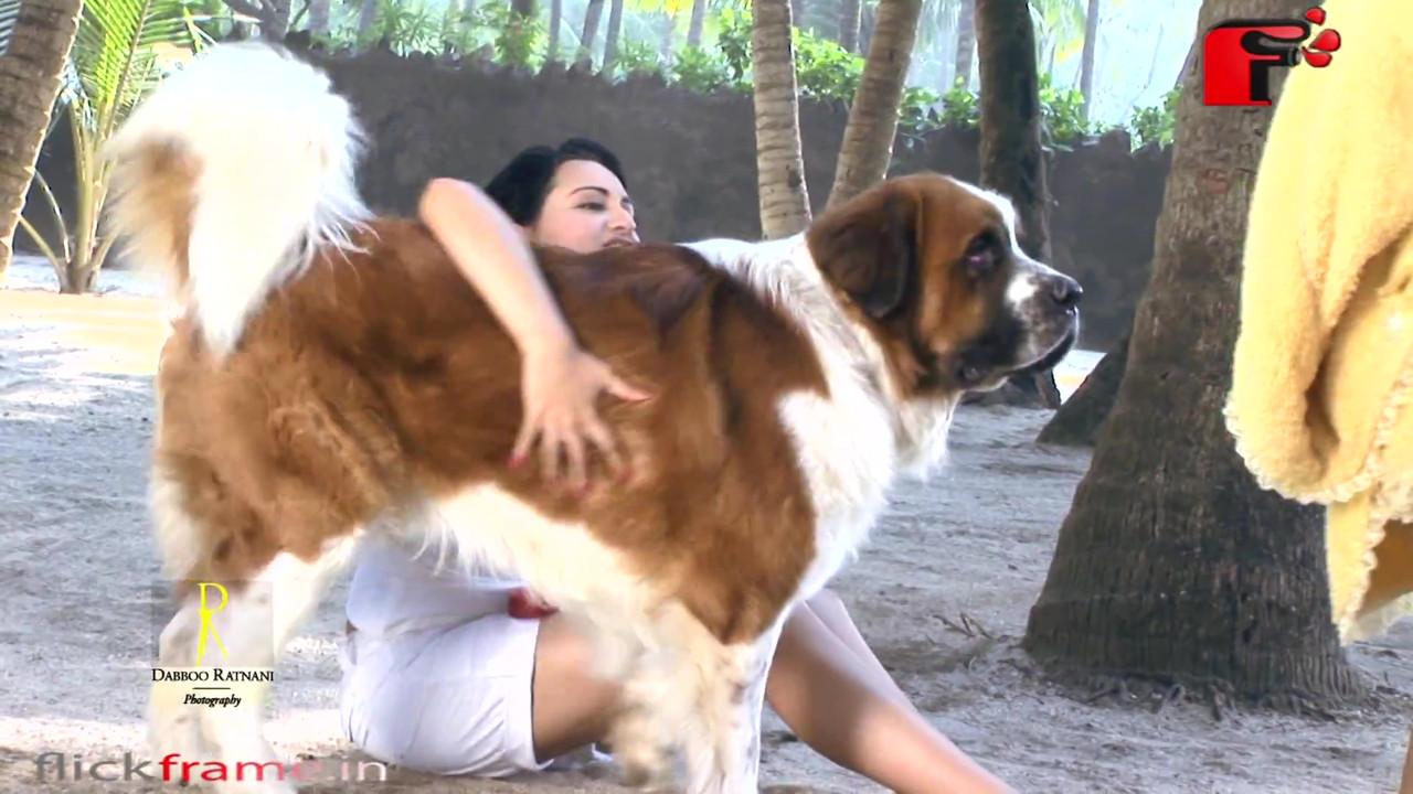 vlcsnap-2021-05-28-01h35m23s104