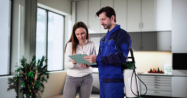Cleaning portable units
