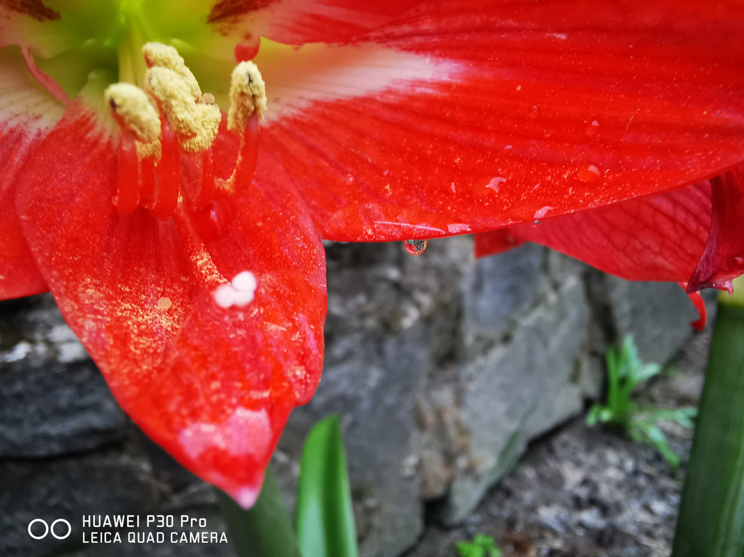 IMG_20190407_172508
