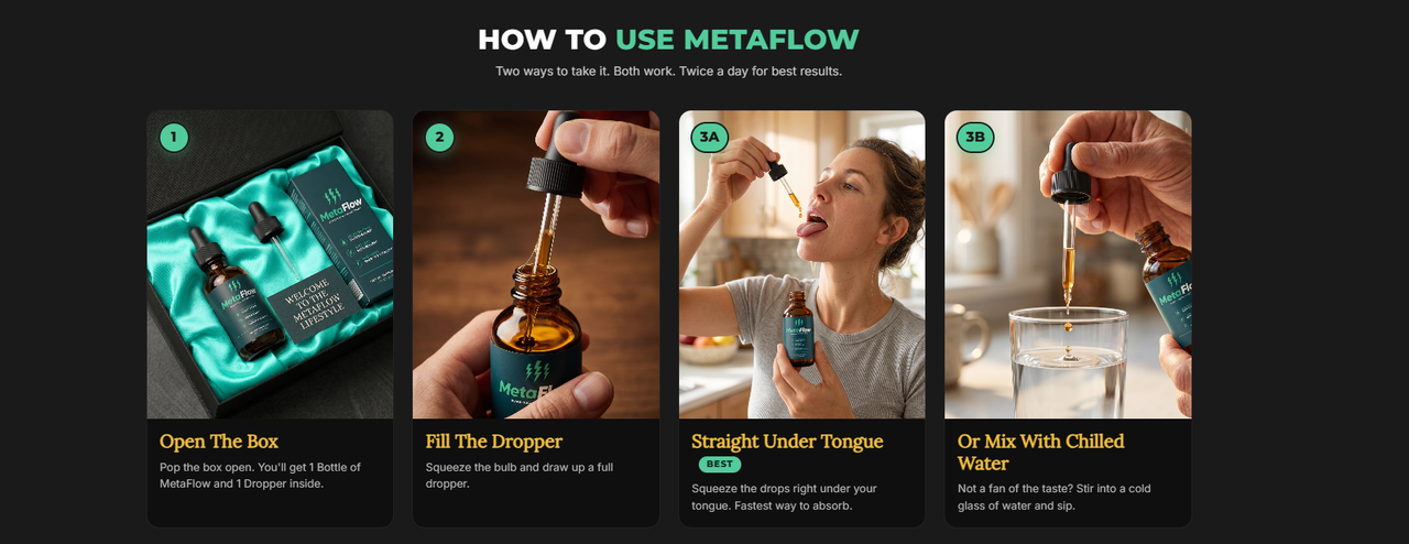 MetaFlow