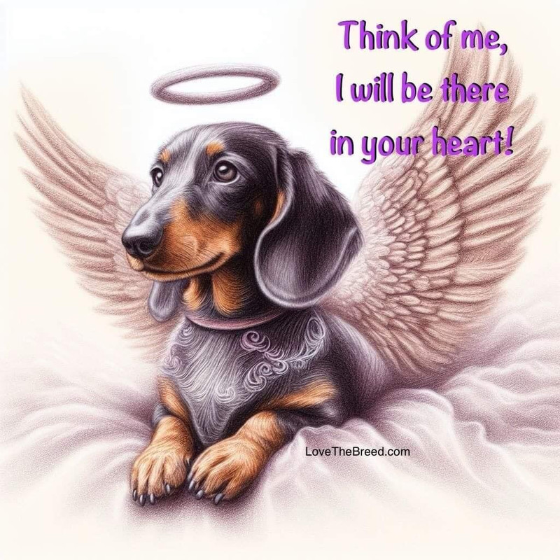 [Image: 14-EADC00-76-EF-433-C-8-EDA-016-C3-C75-D42-B.jpg]