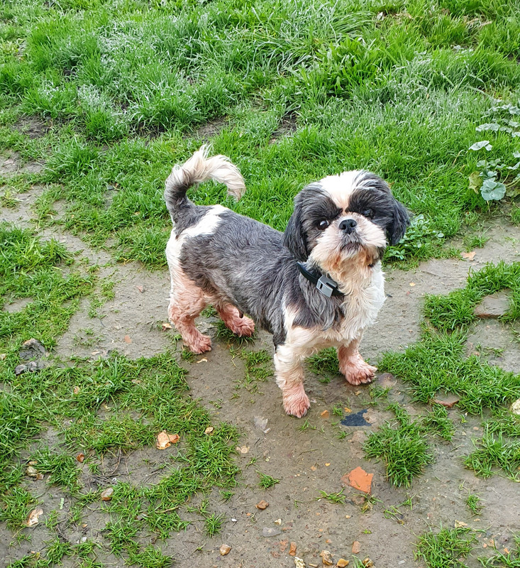 [Image: 20221116-064005.jpg]